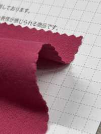 OS3063 Popelina Orgánica De Alta Densidad[Fabrica Textil] SHIBAYA Subfoto