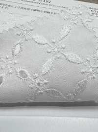 KCL522-D191 60 Encajes De Césped[Fabrica Textil] Uni Textile(Estudio Komon) Subfoto