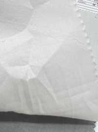 7026-636-1 80 Césped Sal Encogimiento Sin Patrón Punto Sin Patrón[Fabrica Textil] HOKKOH Subfoto