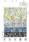 8026-680-7 Batista 80 Miracle Wave Flor Acuarela