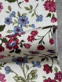 KTS2568 Estampado Floral De Paño Ancho[Fabrica Textil] Algodón Kobayashi Subfoto