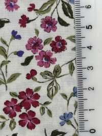 KTS2568 Estampado Floral De Paño Ancho[Fabrica Textil] Algodón Kobayashi Subfoto