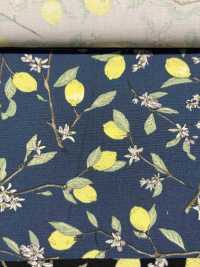 KTS6951 Estampado De Limón Con Rama De Paño[Fabrica Textil] Algodón Kobayashi Subfoto