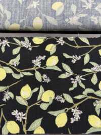 KTS6951 Estampado De Limón Con Rama De Paño[Fabrica Textil] Algodón Kobayashi Subfoto