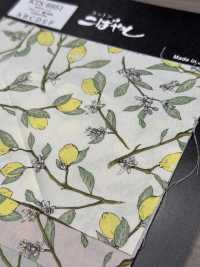 KTS6951 Estampado De Limón Con Rama De Paño[Fabrica Textil] Algodón Kobayashi Subfoto