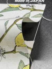 KTS6951 Estampado De Limón Con Rama De Paño[Fabrica Textil] Algodón Kobayashi Subfoto