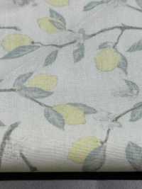 KTS6951 Estampado De Limón Con Rama De Paño[Fabrica Textil] Algodón Kobayashi Subfoto