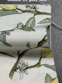 KTS6951 Estampado De Limón Con Rama De Paño[Fabrica Textil] Algodón Kobayashi Subfoto