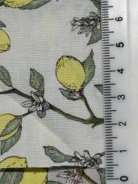 KTS6951 Estampado De Limón Con Rama De Paño[Fabrica Textil] Algodón Kobayashi Subfoto