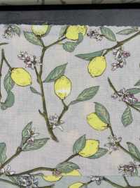 KTS6951 Estampado De Limón Con Rama De Paño[Fabrica Textil] Algodón Kobayashi Subfoto