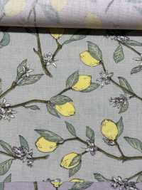 KTS6951 Estampado De Limón Con Rama De Paño[Fabrica Textil] Algodón Kobayashi Subfoto