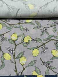 KTS6951 Estampado De Limón Con Rama De Paño[Fabrica Textil] Algodón Kobayashi Subfoto