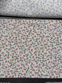 KTS7115 1 Estampado De Gypsophila De Paño Ancho[Fabrica Textil] Algodón Kobayashi Subfoto