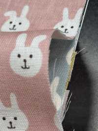 KTS7074 Pajarita De Gasa Doble Con Estampado De Conejo[Fabrica Textil] Algodón Kobayashi Subfoto