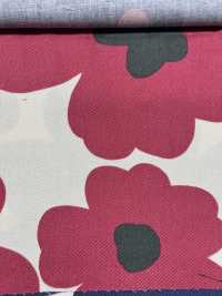 KTS3676 Estampado Nórdico De Sarga[Fabrica Textil] Algodón Kobayashi Subfoto