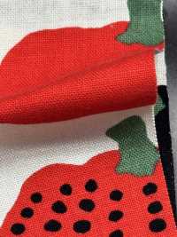 UP5910 Impresión De Calabaza En Lienzo 10/1[Fabrica Textil] Algodón Kobayashi Subfoto