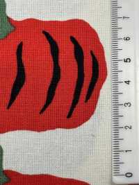 UP5910 Impresión De Calabaza En Lienzo 10/1[Fabrica Textil] Algodón Kobayashi Subfoto