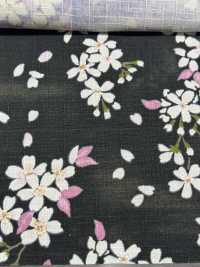 KTS6850 Estampado Con Patrón De Sakura De La Cruz Del Sur[Fabrica Textil] Algodón Kobayashi Subfoto