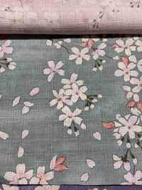 KTS6850 Estampado Con Patrón De Sakura De La Cruz Del Sur[Fabrica Textil] Algodón Kobayashi Subfoto