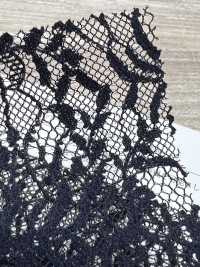 KKF8455-W-D1 Encaje Grand Raschel De Poliéster De Ancho Amplio[Fabrica Textil] Uni Textile(Estudio Komon) Subfoto