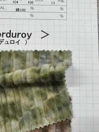 DCL880 Pana Elegante Decorore (Conjunto)[Fabrica Textil] Kumoi Beauty Subfoto