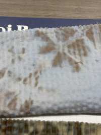 DCL658 Decolore 6W Pana[Fabrica Textil] Kumoi Beauty Subfoto