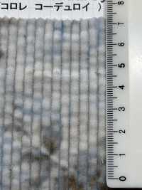 DCL658 Decolore 6W Pana[Fabrica Textil] Kumoi Beauty Subfoto