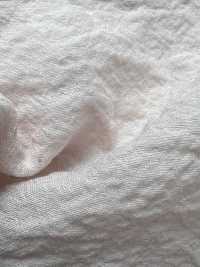 KKF1076-W-D1 Organza Dividida De 20d Jacquard De Ancho Amplio[Fabrica Textil] Uni Textile(Estudio Komon) Subfoto