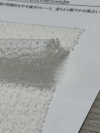 41692 Encaje Transparente Con Encanto[Fabrica Textil] SUNWELL Subfoto