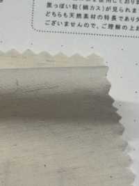 STL-9213 Paño De Lino Para Máquina De Escribir[Fabrica Textil] Textiles Kuwamura Subfoto