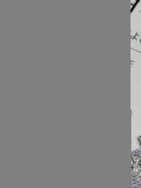 IZAYOI Izayoi[Fabrica Textil] Shinko Subfoto