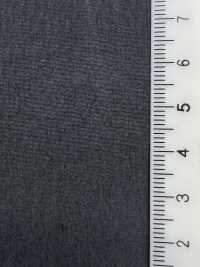 1053553 CO+ 80/1 ALGODÓN×RE:NYLON POPELINA[Fabrica Textil] TAKISADA NAGOYA Subfoto