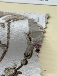 HP-203-1 CL Loomstate PT[Fabrica Textil] HOKKOH Subfoto