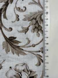 HP-203-1 CL Loomstate PT[Fabrica Textil] HOKKOH Subfoto