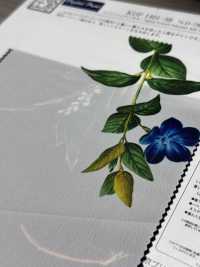 KDP1401-58-D-783 Dechin De Ancho Ancho Femenino[Fabrica Textil] Uni Textile(Estudio Komon) Subfoto