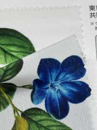 KDP1401-58-D-783 Dechin De Ancho Ancho Femenino[Fabrica Textil] Uni Textile(Estudio Komon) Subfoto