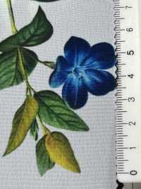 KDP1401-58-D-783 Dechin De Ancho Ancho Femenino[Fabrica Textil] Uni Textile(Estudio Komon) Subfoto