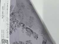 KCP616-D603 Impresión Monocromática De 60 Céspedes[Fabrica Textil] Uni Textile(Estudio Komon) Subfoto