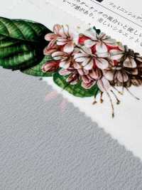 KDP1401-58-DD-783 Impresión De Tela Para Máquina De Escribir Al 80 %[Fabrica Textil] Uni Textile(Estudio Komon) Subfoto