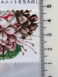 KDP1401-58-DD-783 Impresión De Tela Para Máquina De Escribir Al 80 %[Fabrica Textil] Uni Textile(Estudio Komon) Subfoto