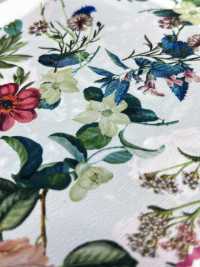 KDP2312SD-58-DD-233 Impresión De Inyección De Tinta De Gran Ancho De Dechin Femenino[Fabrica Textil] Uni Textile(Estudio Komon) Subfoto