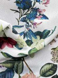 KDP2312SD-58-DD-233 Impresión De Inyección De Tinta De Gran Ancho De Dechin Femenino[Fabrica Textil] Uni Textile(Estudio Komon) Subfoto