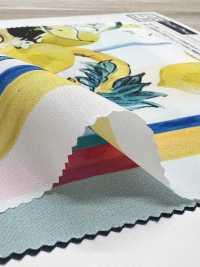 KDP2312SD-58-DD-241 Impresión De Inyección De Tinta De Gran Ancho De Dechin Femenino[Fabrica Textil] Uni Textile(Estudio Komon) Subfoto