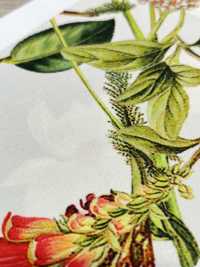 KDP7711-58-DD899 Grosgrain Ligero, Impresión De Inyección De Tinta De Ancho Amplio[Fabrica Textil] Uni Textile(Estudio Komon) Subfoto