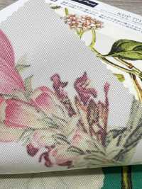 KDP7711-58-DD899 Grosgrain Ligero, Impresión De Inyección De Tinta De Ancho Amplio[Fabrica Textil] Uni Textile(Estudio Komon) Subfoto