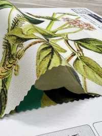 KDP7711-58-DD899 Grosgrain Ligero, Impresión De Inyección De Tinta De Ancho Amplio[Fabrica Textil] Uni Textile(Estudio Komon) Subfoto