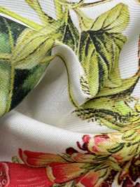 KDP7711-58-DD899 Grosgrain Ligero, Impresión De Inyección De Tinta De Ancho Amplio[Fabrica Textil] Uni Textile(Estudio Komon) Subfoto