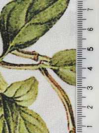 KDP7711-58-DD899 Grosgrain Ligero, Impresión De Inyección De Tinta De Ancho Amplio[Fabrica Textil] Uni Textile(Estudio Komon) Subfoto