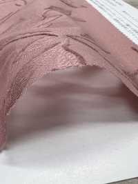 KKC500-D1 Algodón Teñido En Jacquard De 50 Cortes[Fabrica Textil] Uni Textile(Estudio Komon) Subfoto