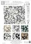 KKP1400-58-DSB-151 Feminish Dechine, ancho